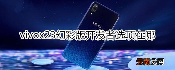 vivox23幻彩版开发者选项在哪