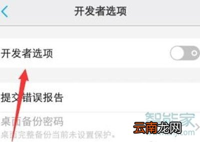 vivox23幻彩版开发者选项在哪
