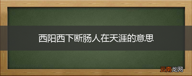 西阳西下断肠人在天涯的意思