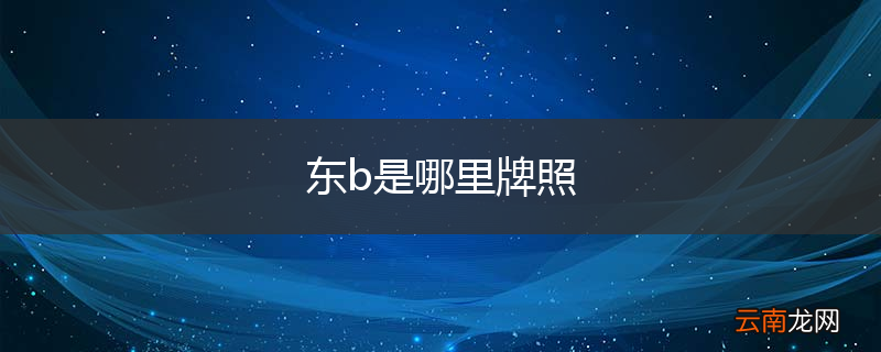 东b是哪里牌照