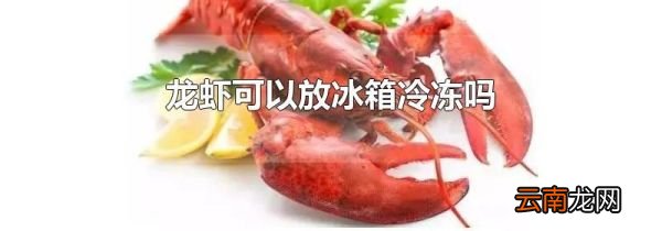 龙虾可以放冰箱冷冻吗