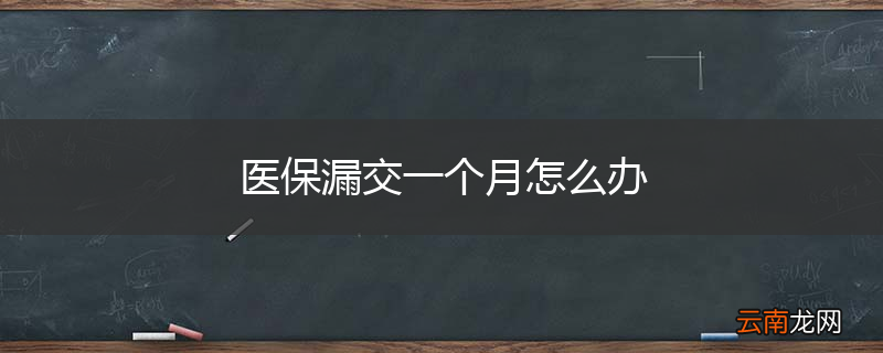 医保漏交一个月怎么办