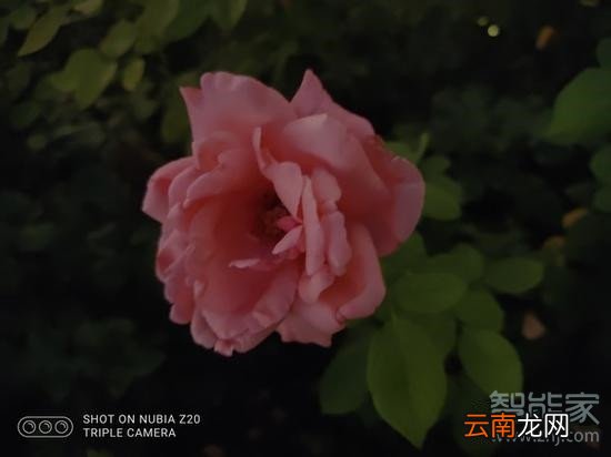 努比亚z20有超级夜景功能吗
