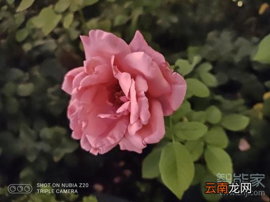 努比亚z20有超级夜景功能吗