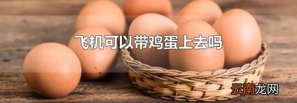飞机可以带鸡蛋上去吗