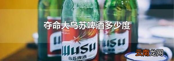 夺命大乌苏啤酒多少度