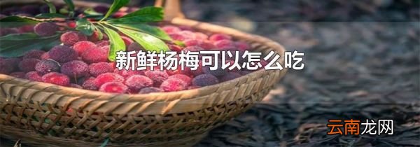 新鲜杨梅可以怎么吃