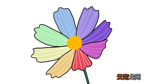 鲜花简笔画 鲜花的简单画法
