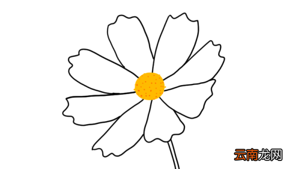 鲜花简笔画 鲜花的简单画法