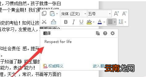 wps2019中划线翻译具体操作步骤