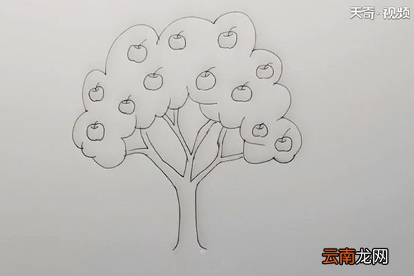 苹果树简笔画