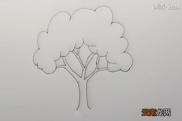 苹果树简笔画