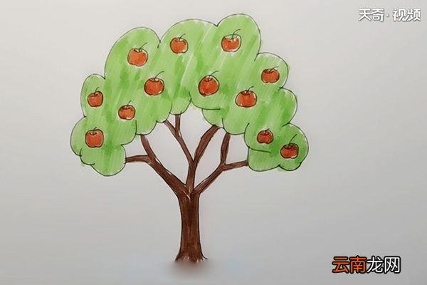 苹果树简笔画