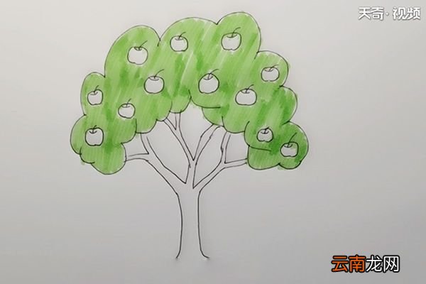 苹果树简笔画