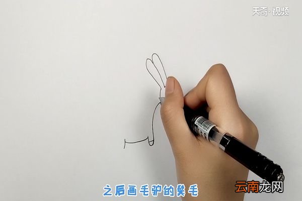 毛驴简笔画