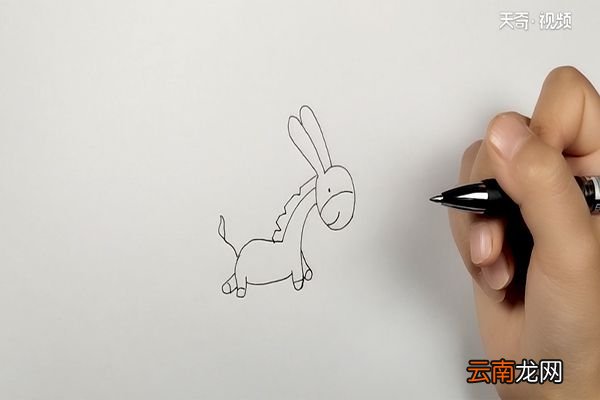 毛驴简笔画