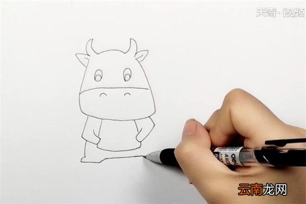河马的简笔画