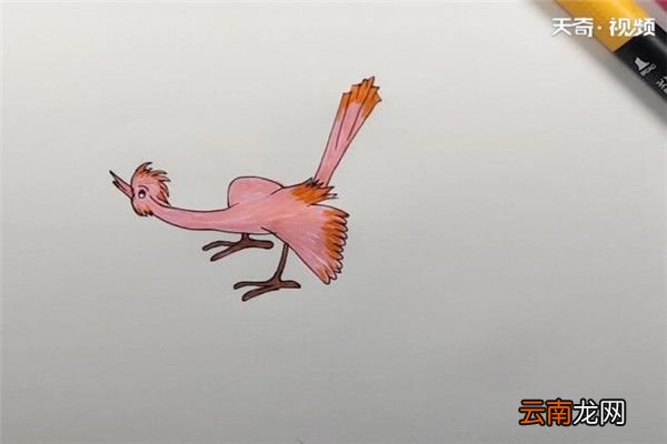 杜鹃鸟简笔画