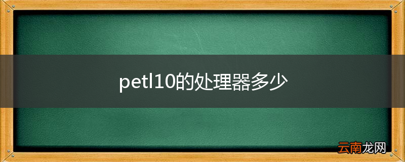 petl10的处理器多少