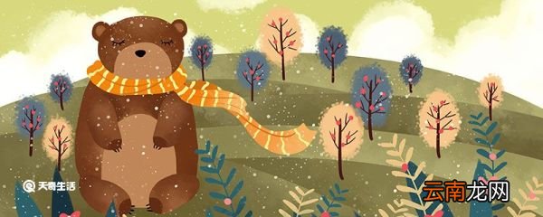 勤勉的熊告诉我们什么道理 勤勉的熊告诉我们的道理