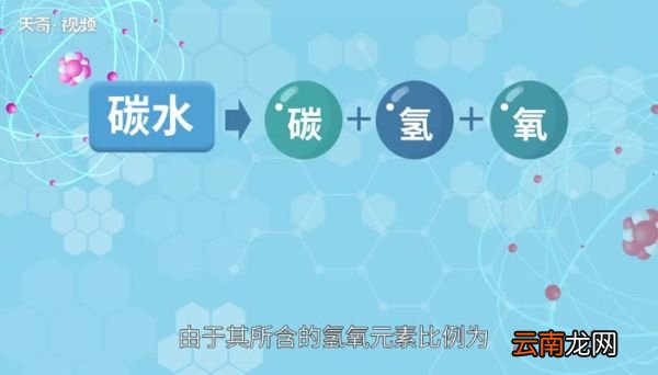 碳水是什么 碳水是指哪些食品