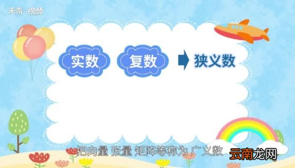 数的分类 小学的数分为哪几类
