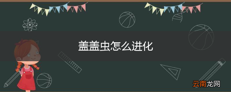 盖盖虫怎么进化