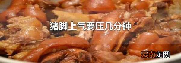 猪脚上气要压几分钟