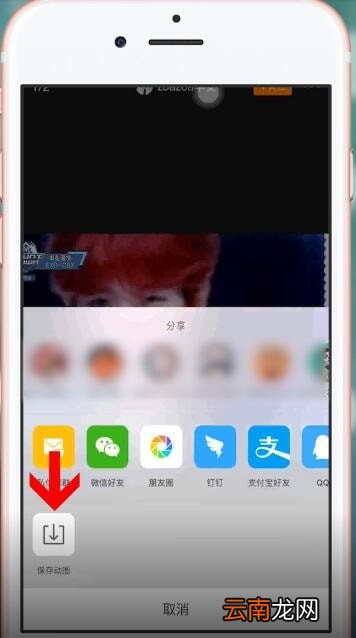iPhone中动态图片不动具体解决方法