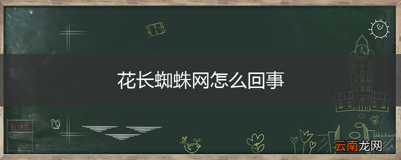 花长蜘蛛网怎么回事
