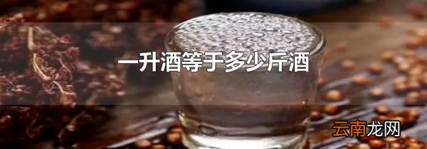一升酒等于多少斤酒