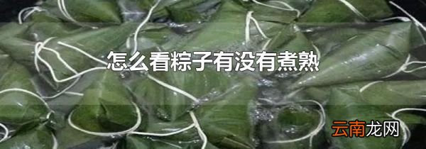 怎么看粽子有没有煮熟