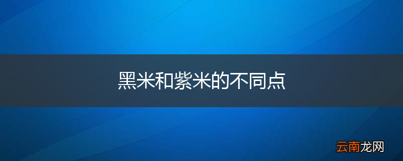 黑米和紫米的不同点