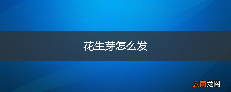 花生芽怎么发