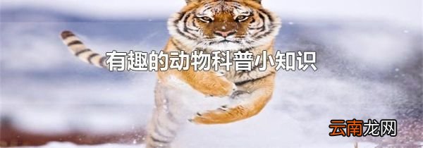 有趣的动物科普小知识