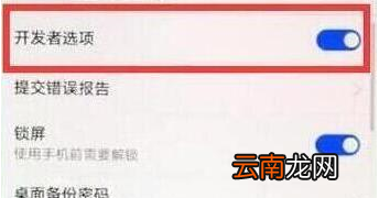 荣耀畅玩8a中将开发者选项打开具体操作步骤