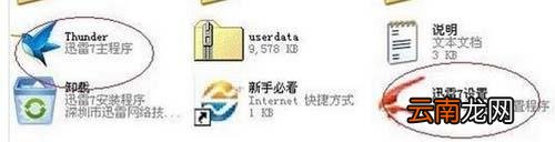 迅雷怎么高速下载 高速通道使用方法