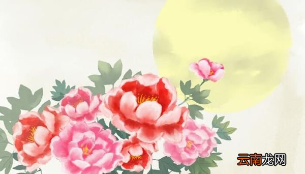 云想衣裳花想容一句用了什么修辞 云想衣裳花想容表达什么意思