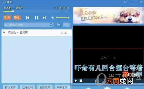 YY伴侣怎么使用 使用方法学成介绍