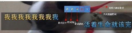 YY伴侣怎么使用 使用方法学成介绍