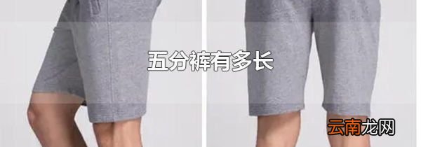 五分裤有多长