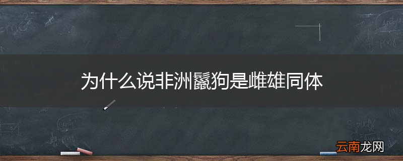 为什么说非洲鬣狗是雌雄同体