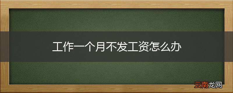 工作一个月不发工资怎么办