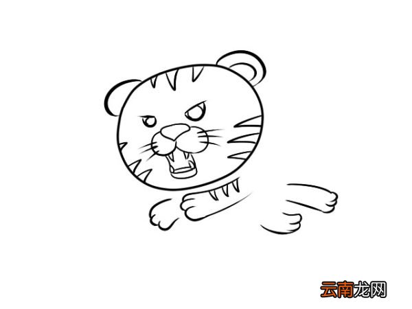 老虎简笔画 零基础学老虎简笔画