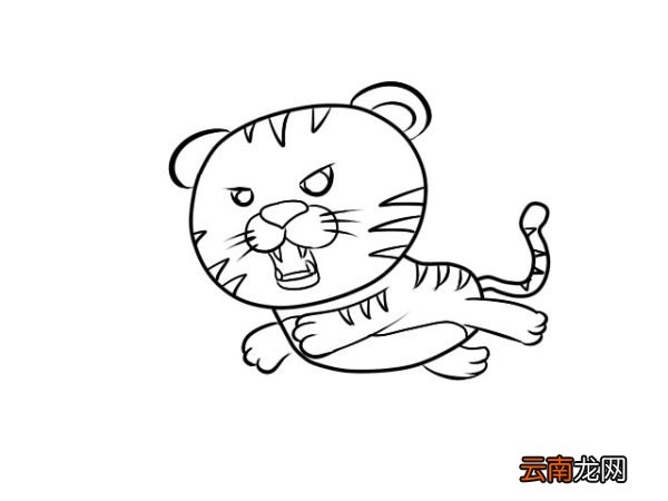 老虎简笔画 零基础学老虎简笔画