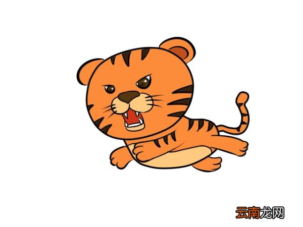 老虎简笔画 零基础学老虎简笔画