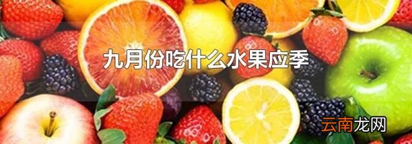 九月份吃什么水果应季