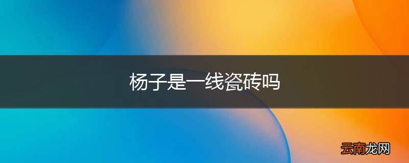 杨子是一线瓷砖吗