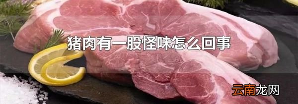 猪肉有一股怪味怎么回事