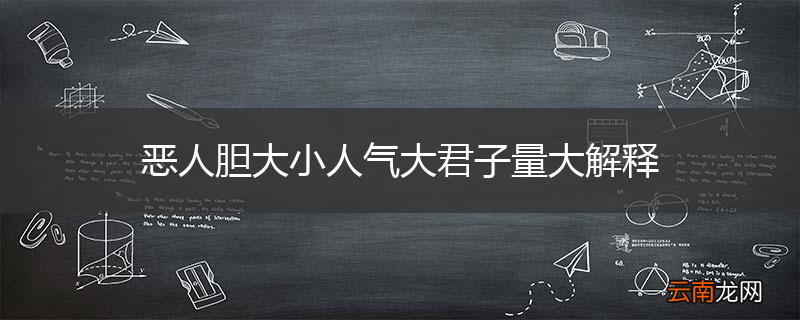 恶人胆大小人气大君子量大解释